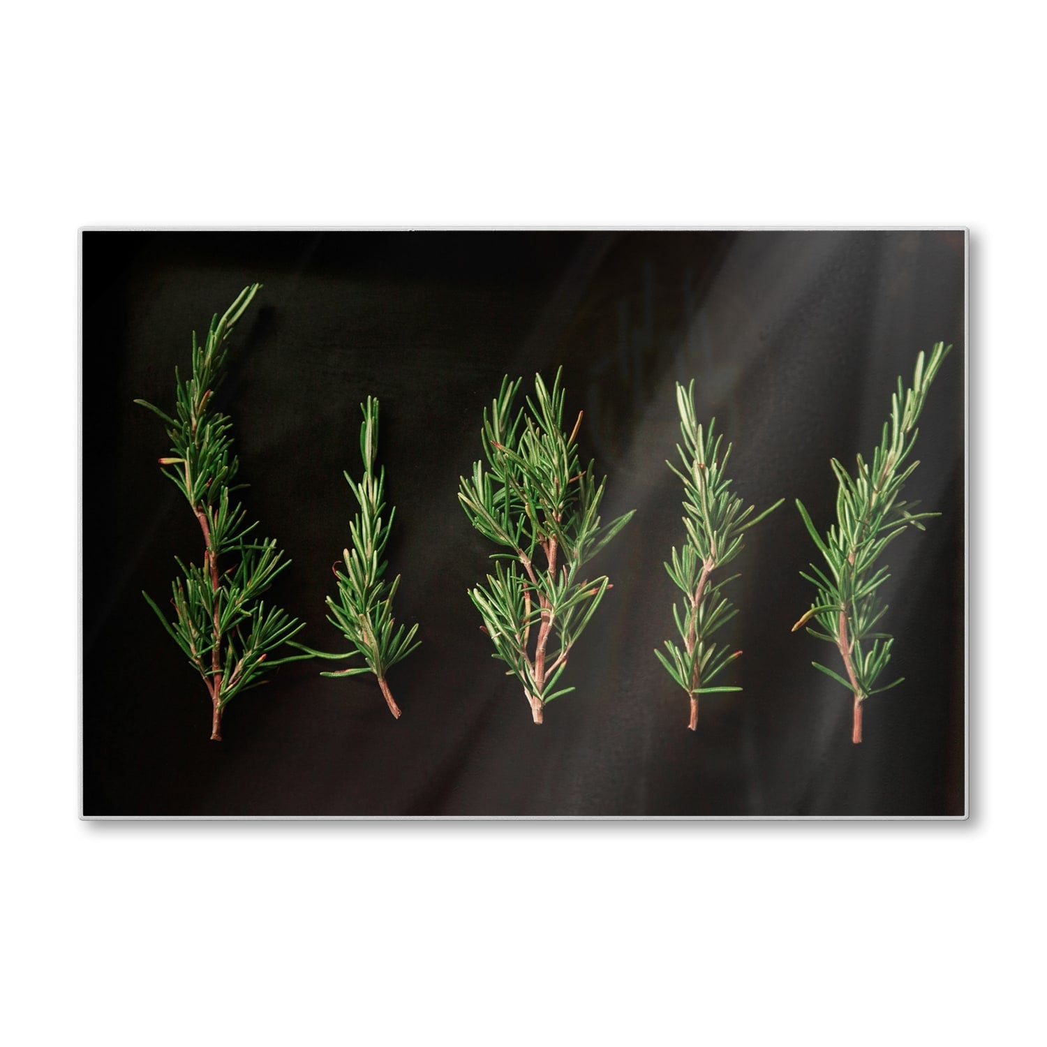 Snijplank - Gehard Glas - Verse Rozemarijntakjes