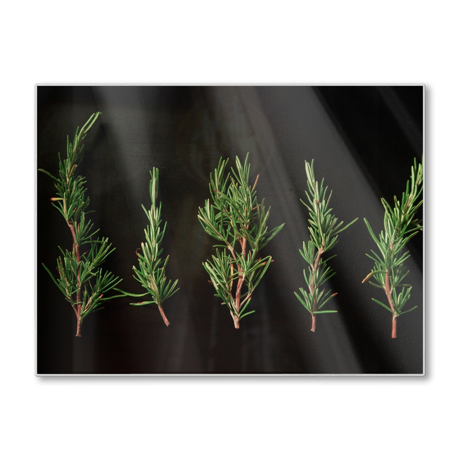 Snijplank - Gehard Glas - Verse Rozemarijntakjes