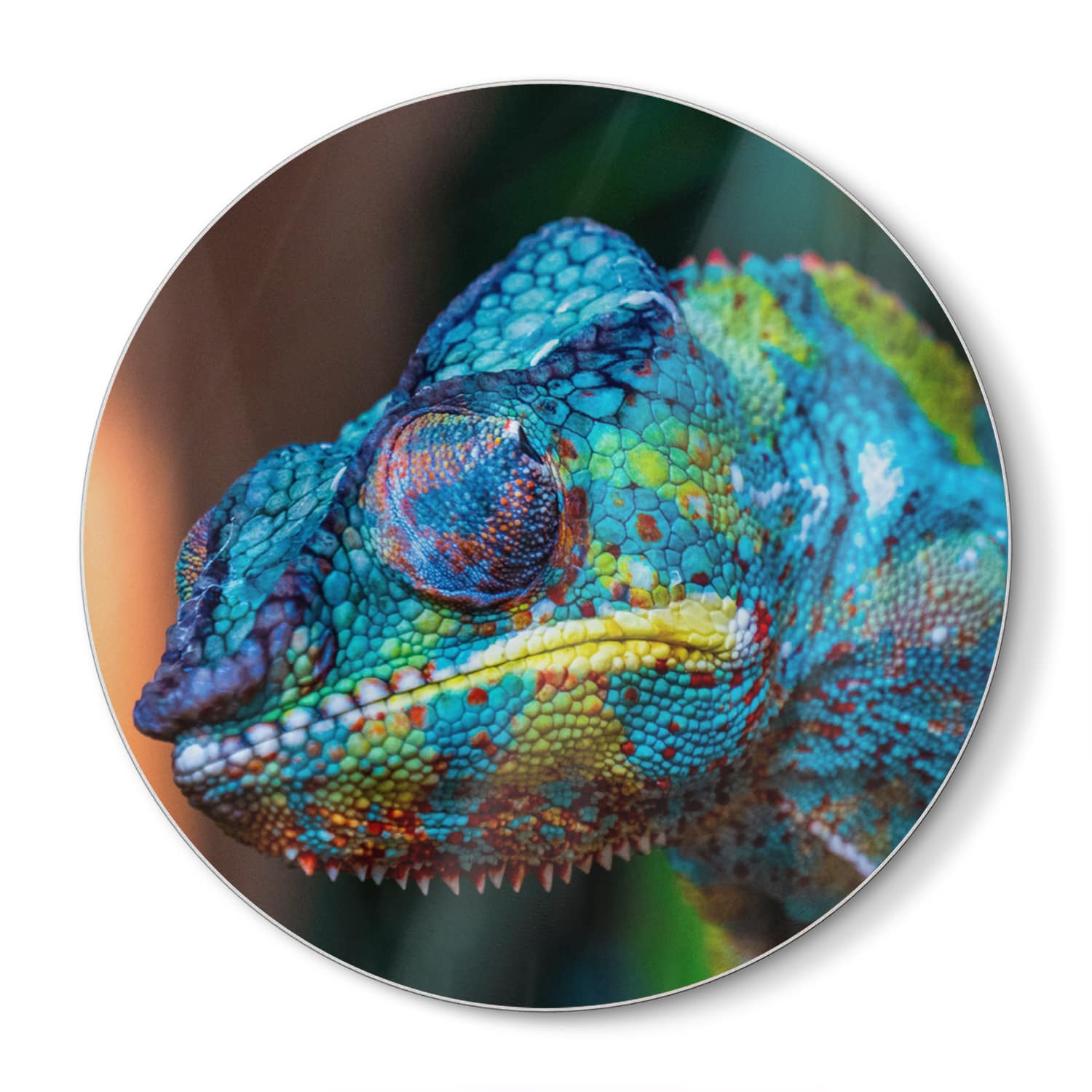 Snijplank Rond - Gehard Glas - Gekleurde Kameleon