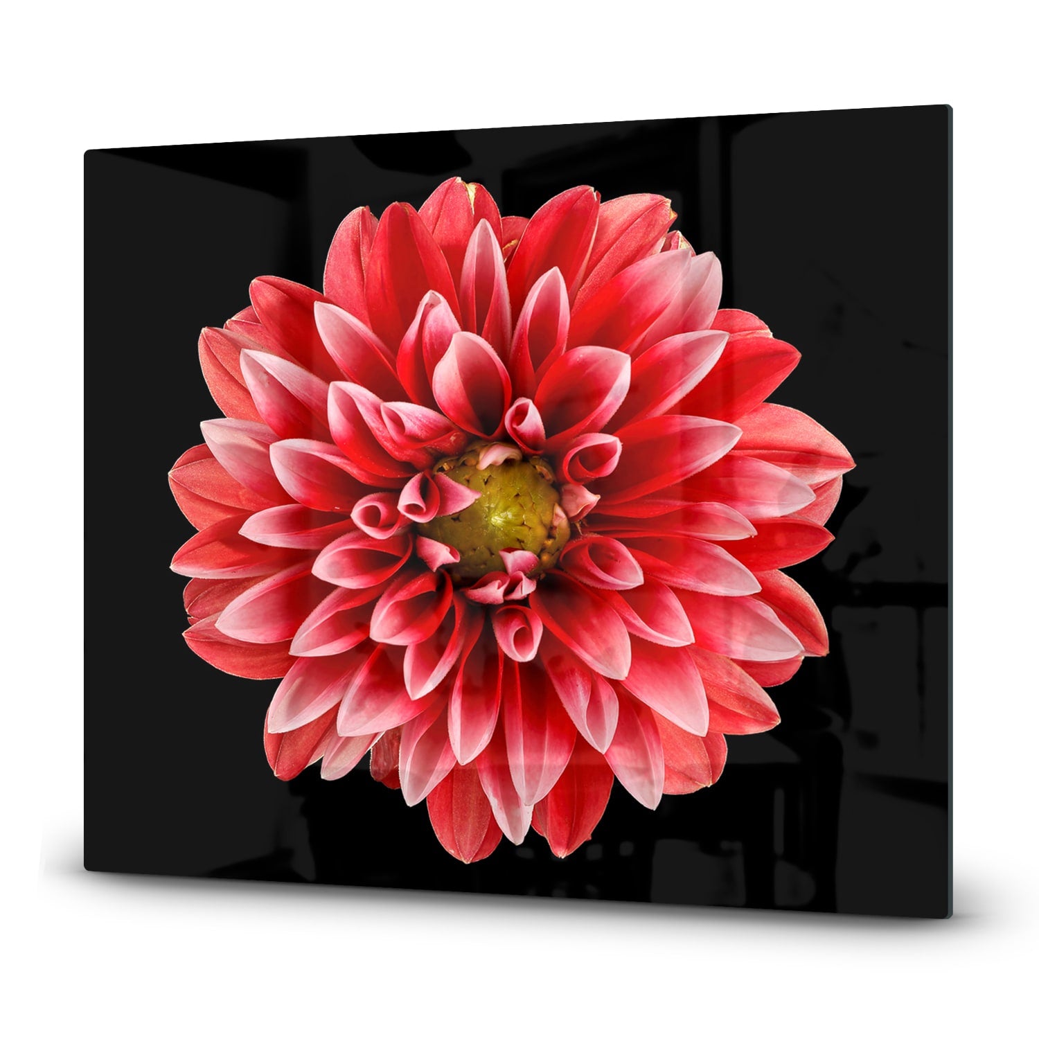 Inductiebeschermer - Gehard Glas - Dahlia Pinnata