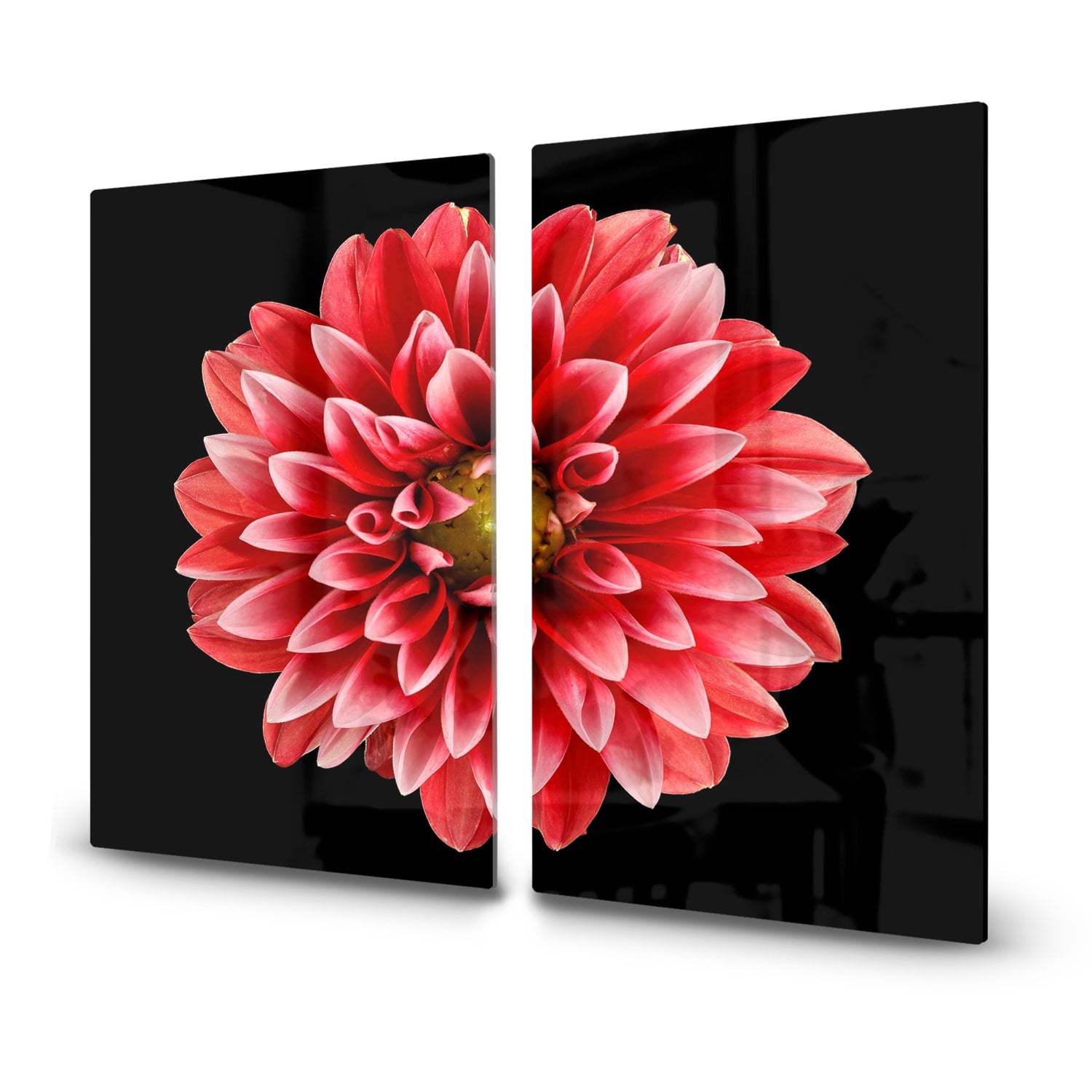 Inductiebeschermer - Gehard Glas - Dahlia Pinnata