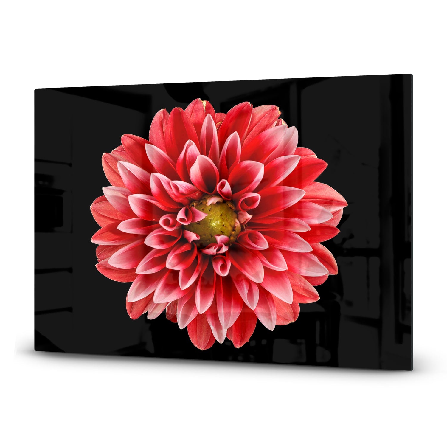 Inductiebeschermer - Gehard Glas - Dahlia Pinnata