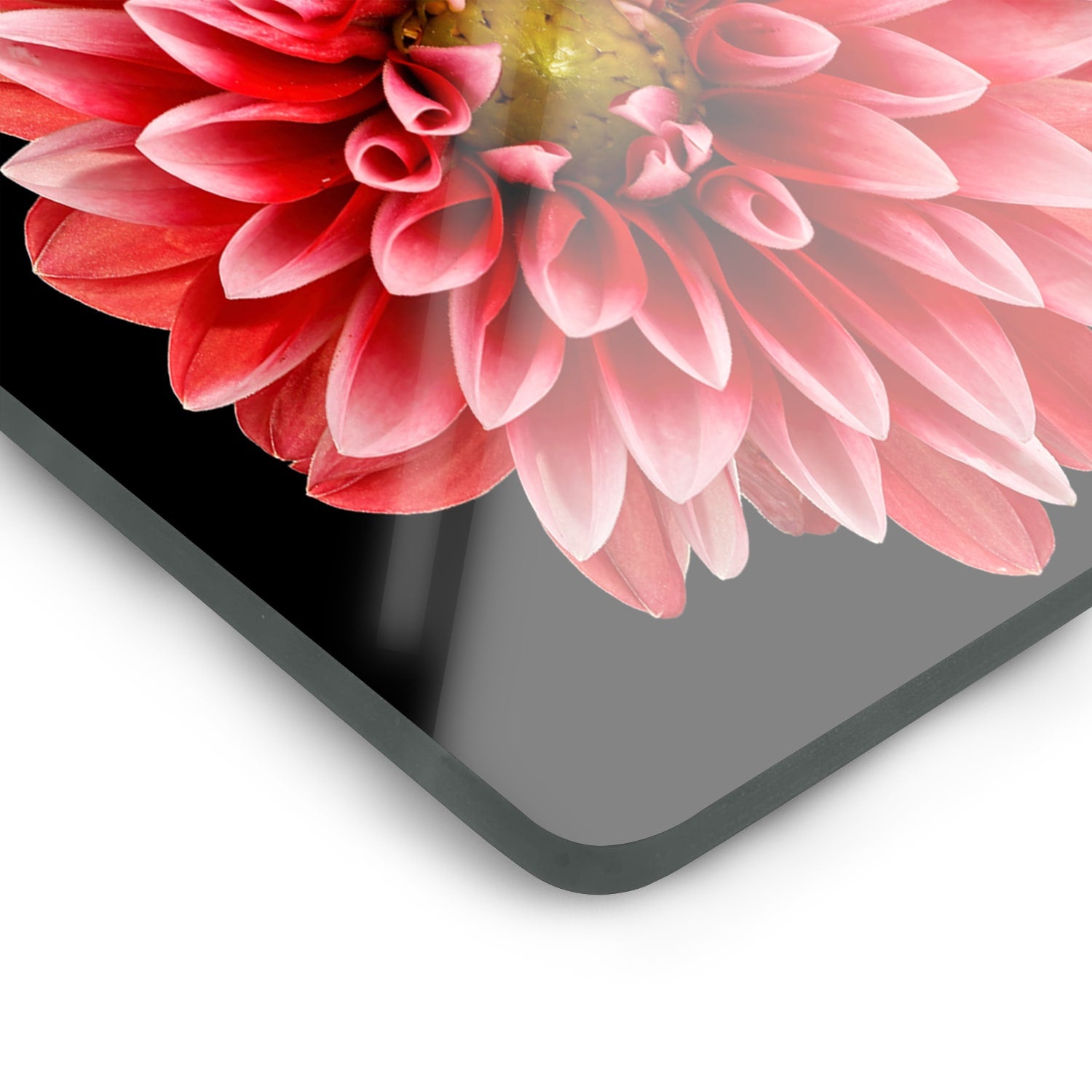 Inductiebeschermer - Gehard Glas - Dahlia Pinnata