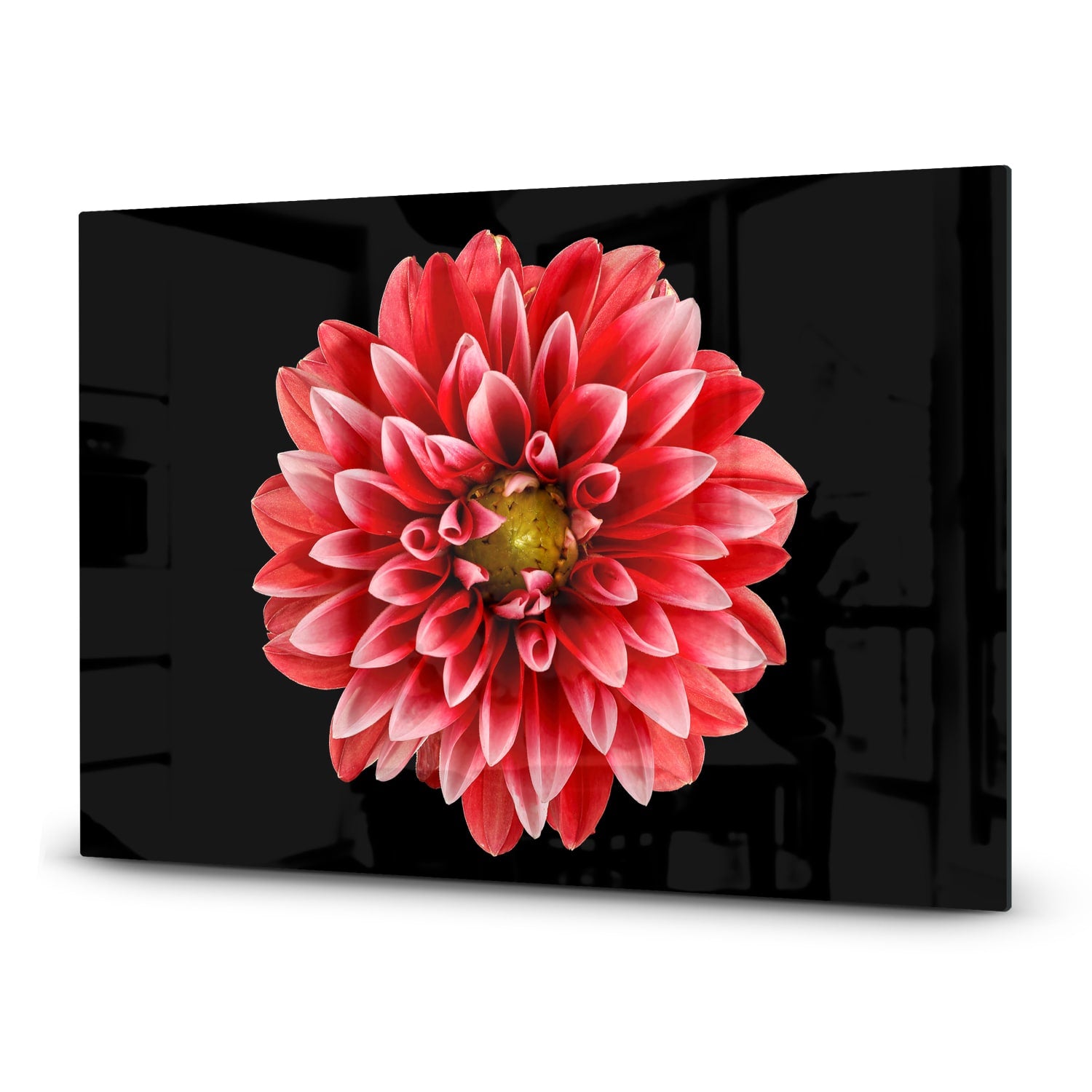 Inductiebeschermer - Gehard Glas - Dahlia Pinnata