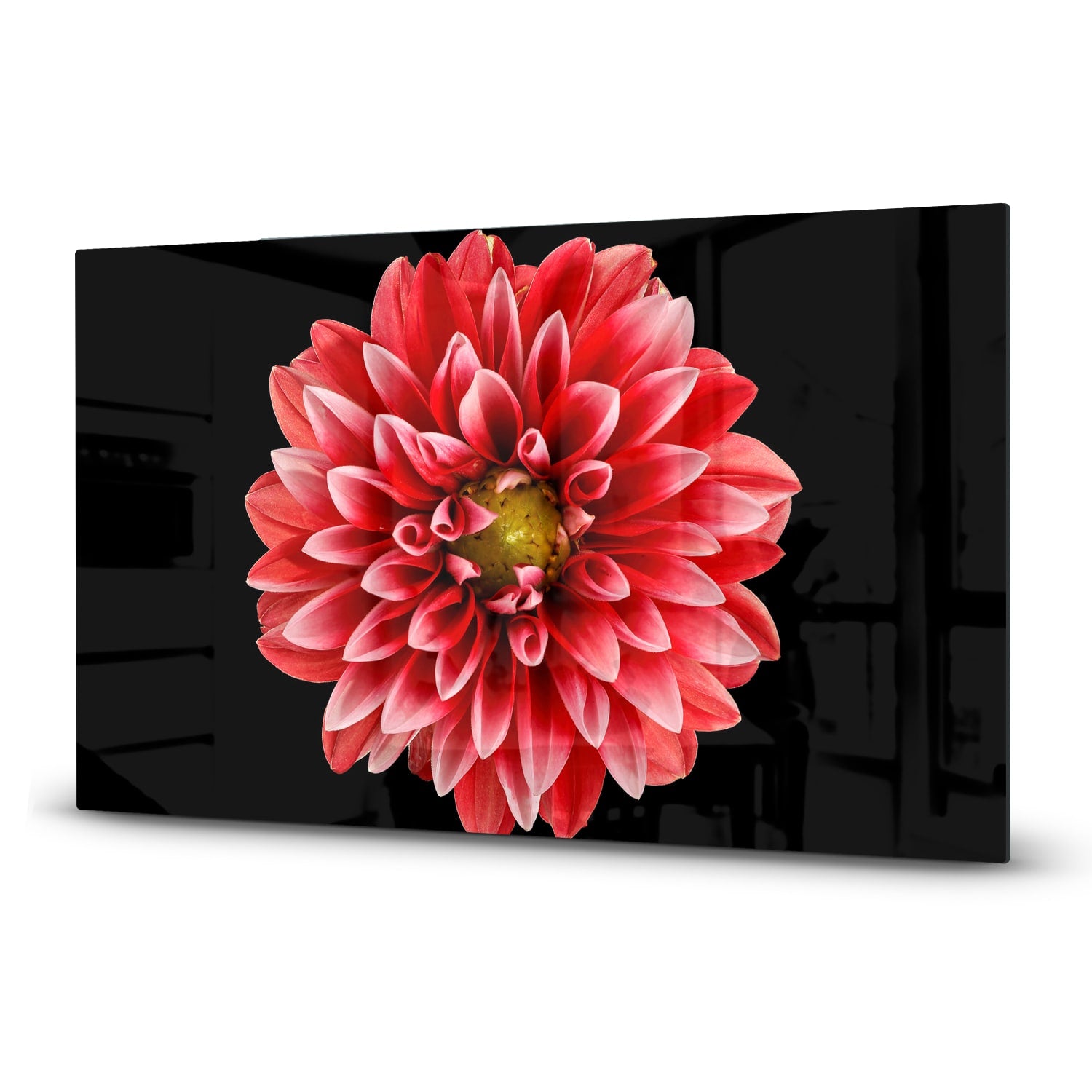 Inductiebeschermer - Gehard Glas - Dahlia Pinnata