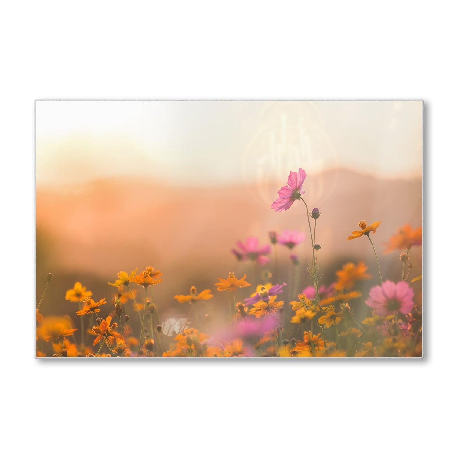 Snijplank - Gehard Glas - Kleurrijke Bloemen bij Zonsondergang
