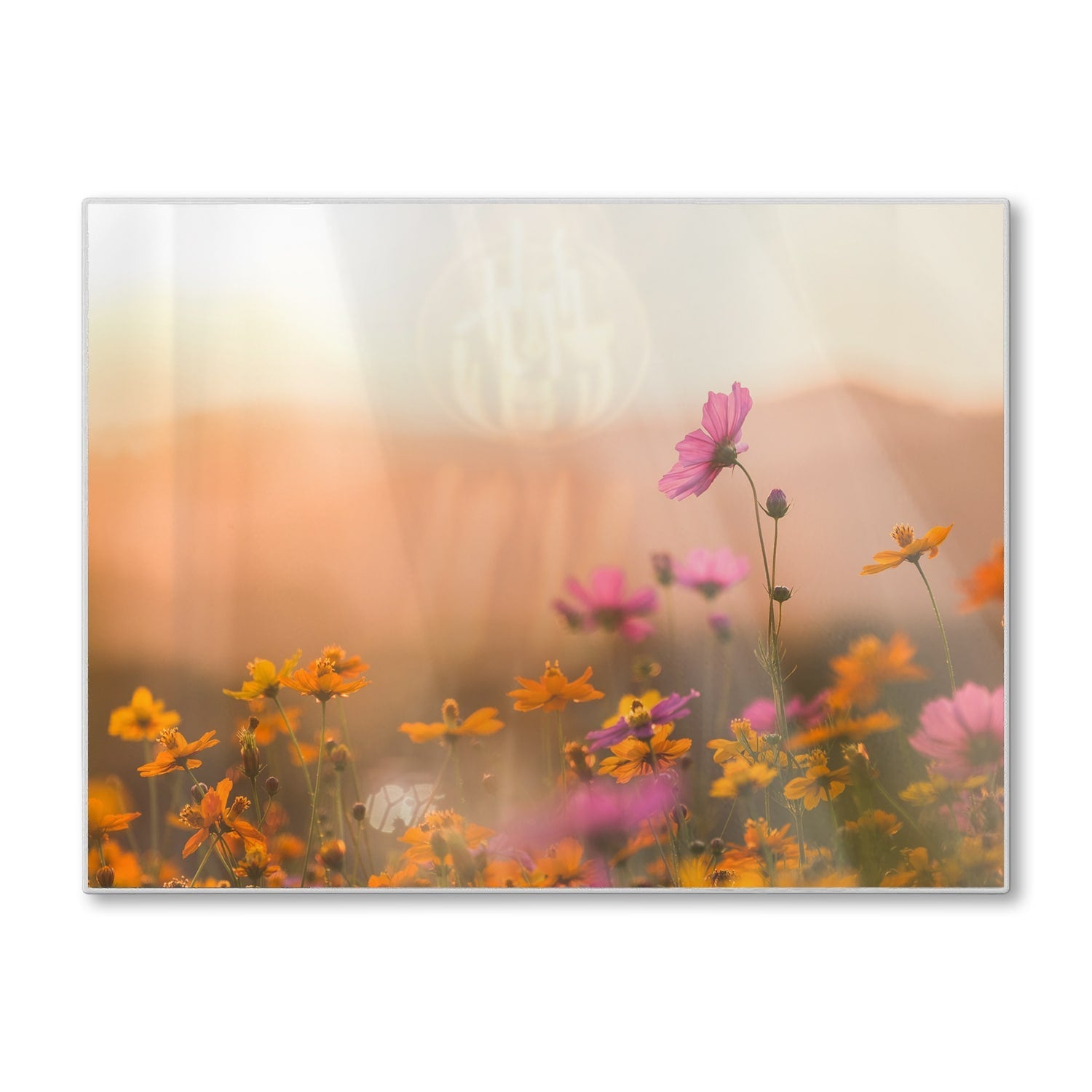 Snijplank - Gehard Glas - Kleurrijke Bloemen bij Zonsondergang