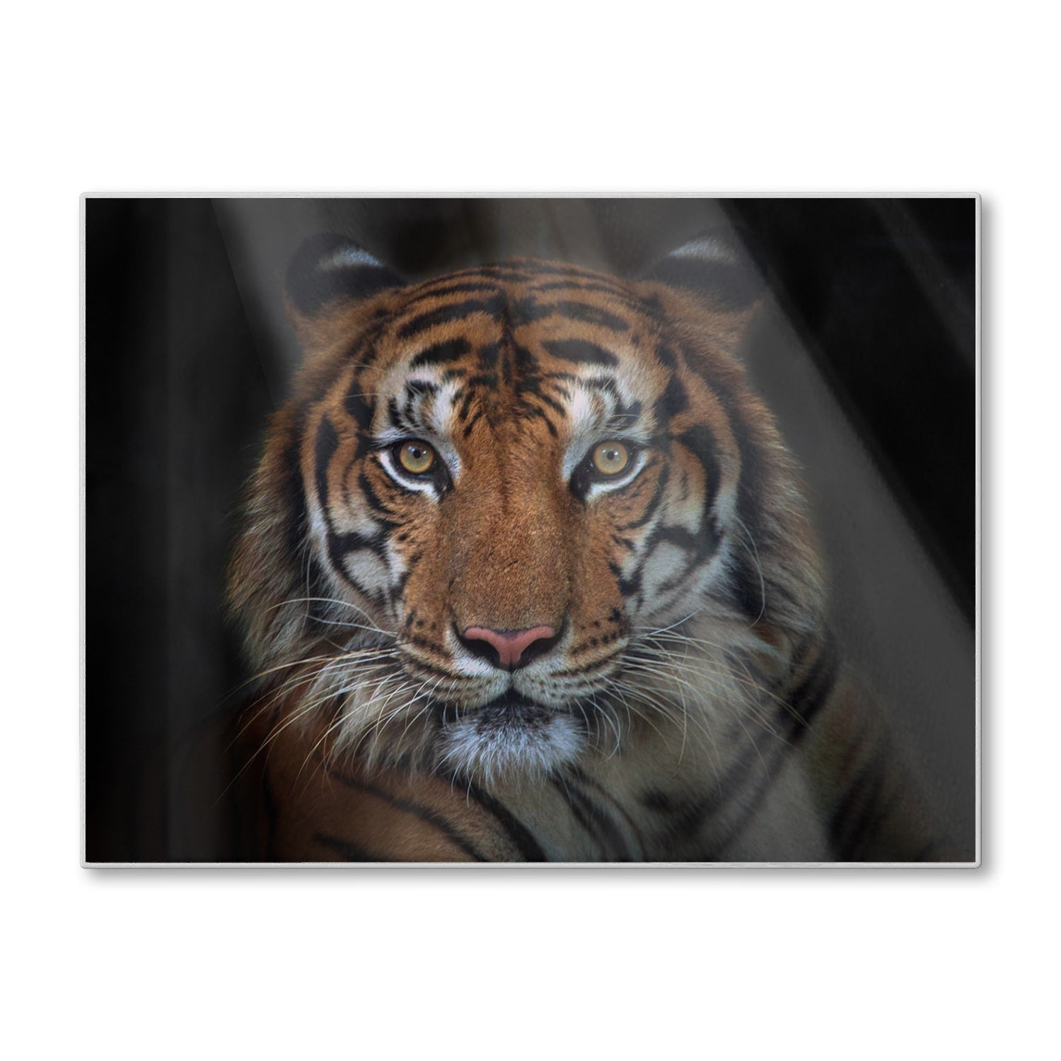 Snijplank - Gehard Glas - Sumatraanse Boze Tijger