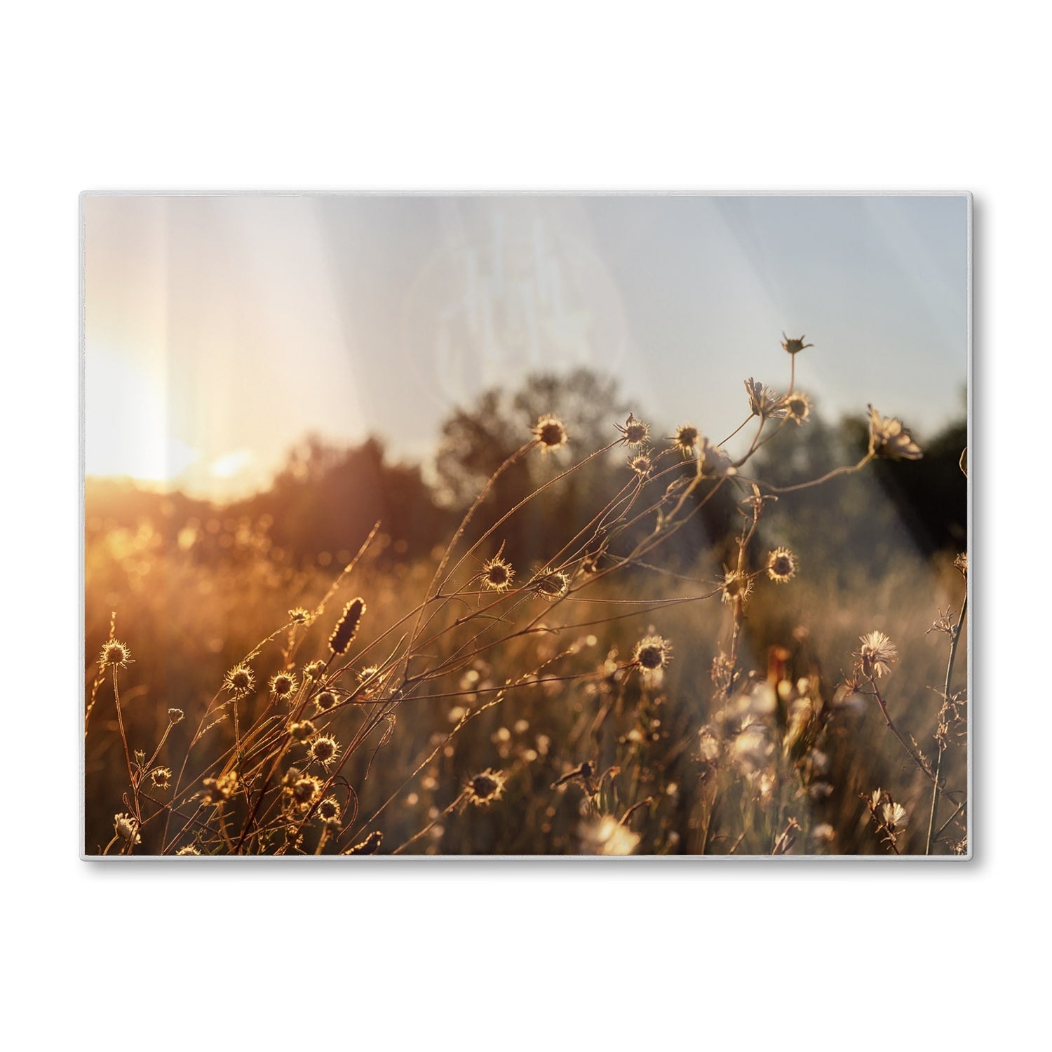 Snijplank - Gehard Glas - Zonsondergang in de Weide