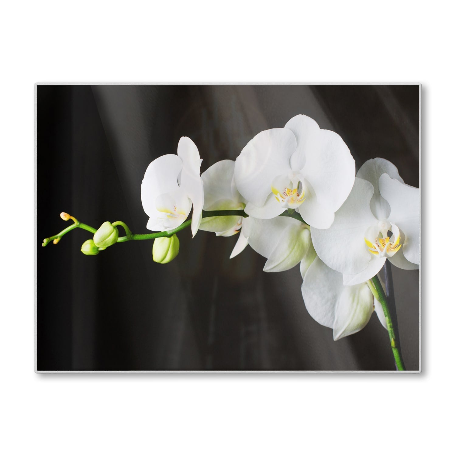 Snijplank - Gehard Glas - Witte Orchideeën