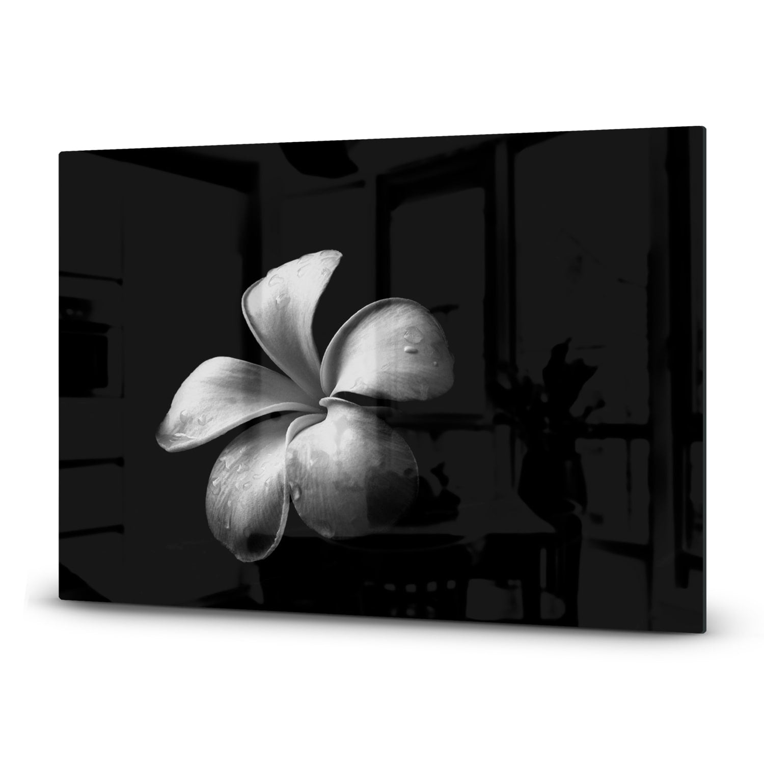 Inductiebeschermer - Gehard Glas - Plumeria