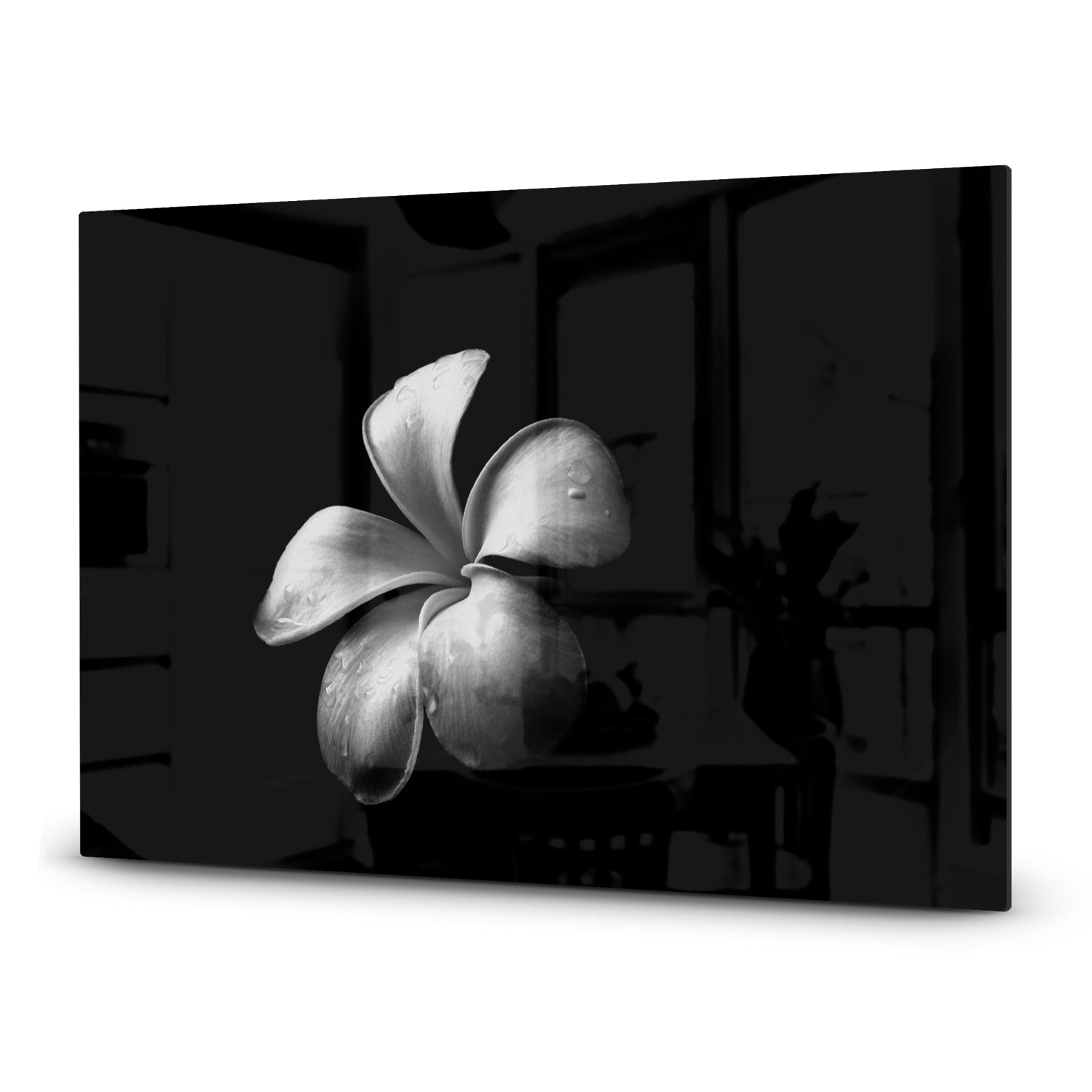 Inductiebeschermer - Gehard Glas - Plumeria