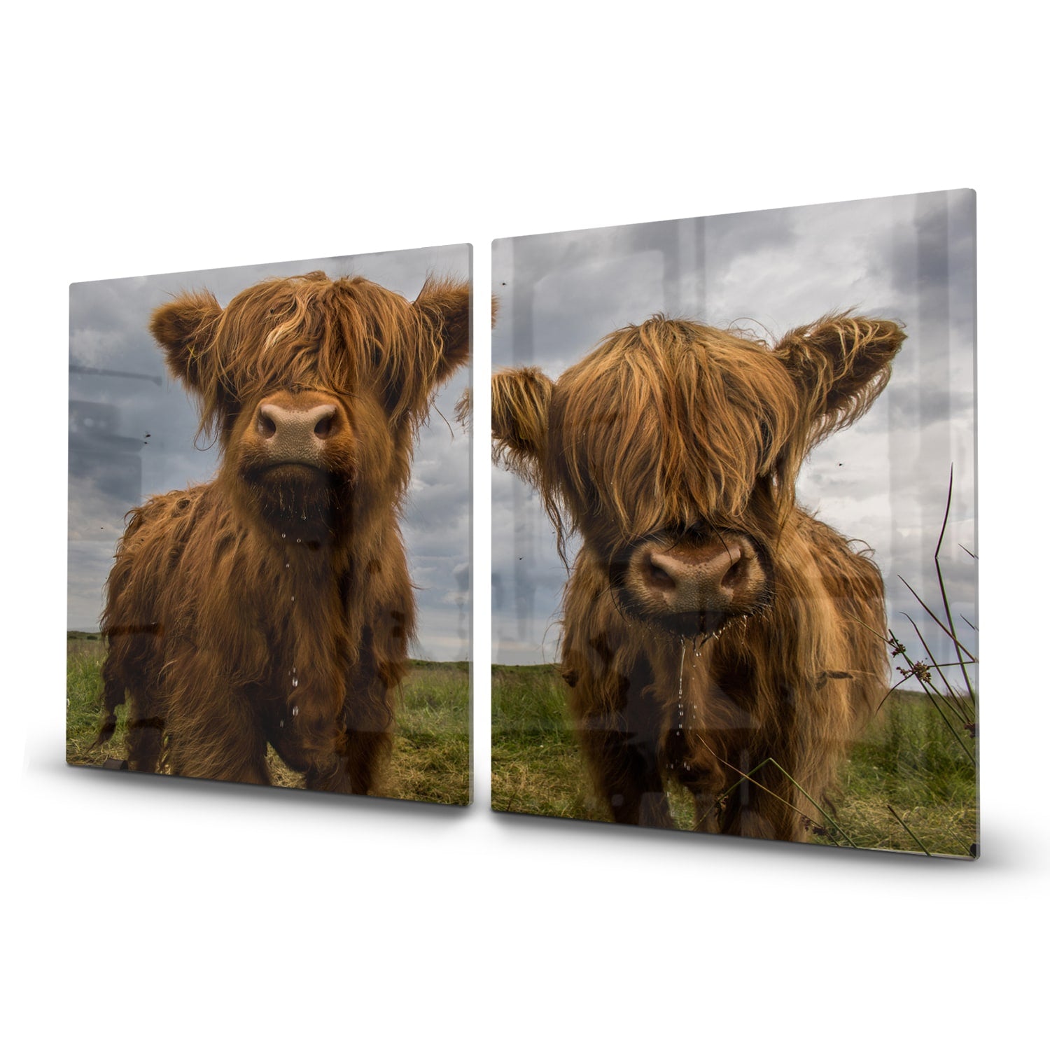 Inductiebeschermer - Gehard Glas - Twee Schotse Hooglanders