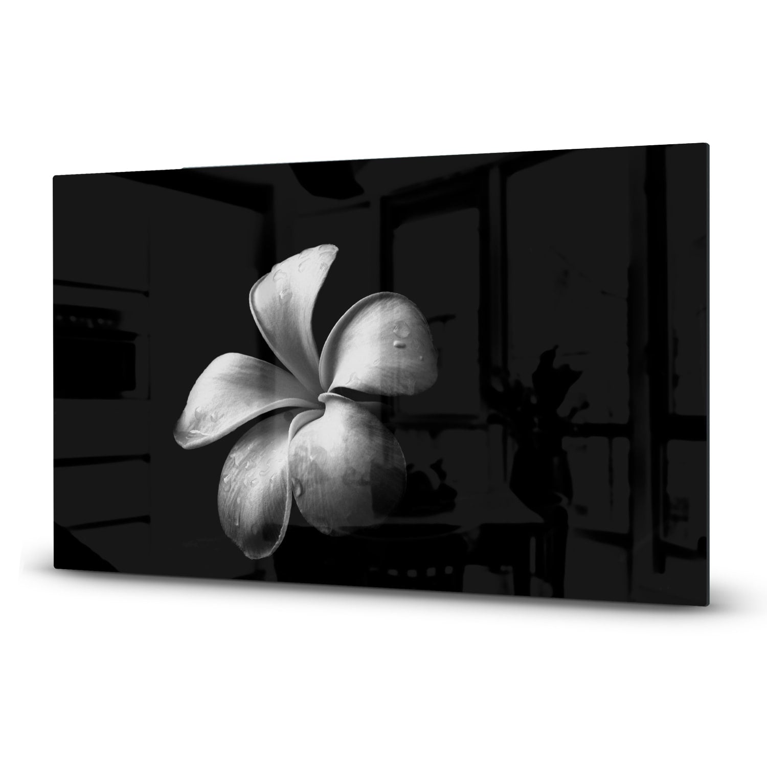 Inductiebeschermer - Gehard Glas - Plumeria